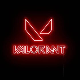 Custom neon for Akash Nair
