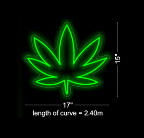 Custom Neon Signs for Tim