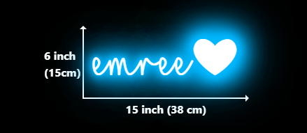 Custom Neon Signs for Shannon Evans