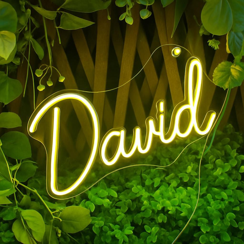 David name neon sign with modern design, glowing green on clear acrylic backing – Neon.Outshine