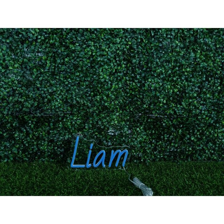 Liam Name Neon sign in bold blue script on clear acrylic - Neon.Outshine 