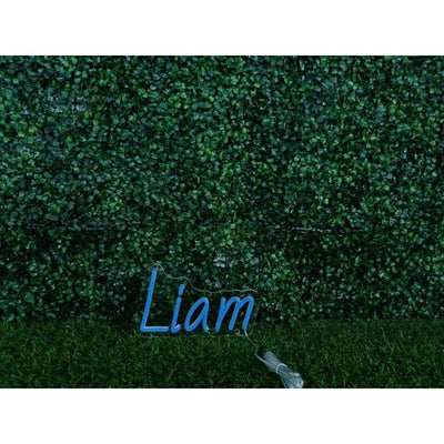 Liam Name Neon sign in bold blue script on clear acrylic - Neon.Outshine 