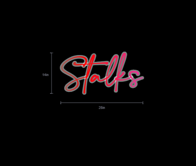 Custom Neon Sign For Jane gunsher