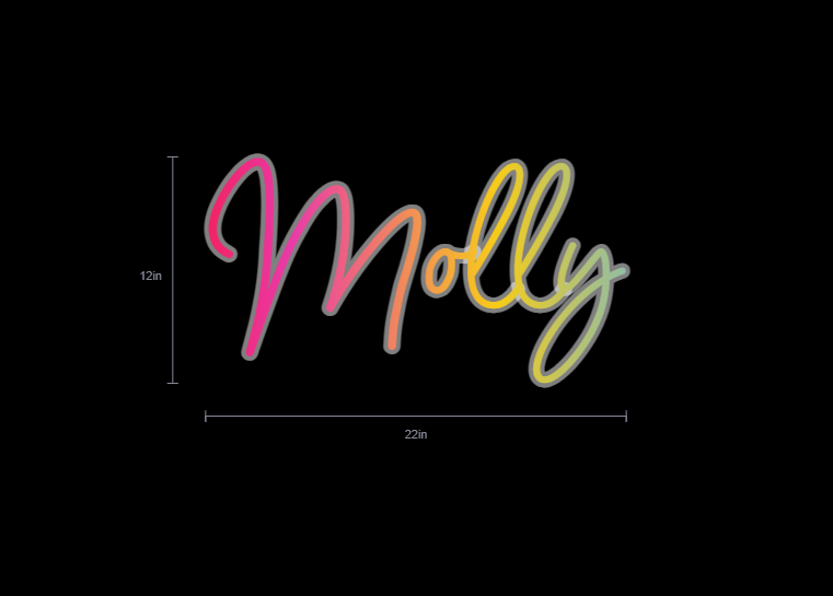 Custom Neon Sign For Erin