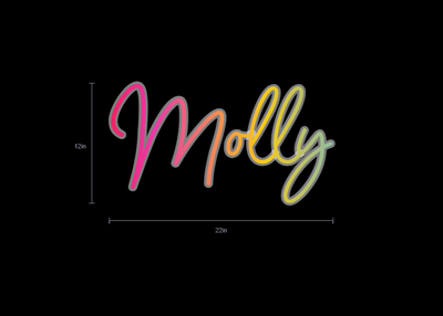 Custom Neon Sign For Erin