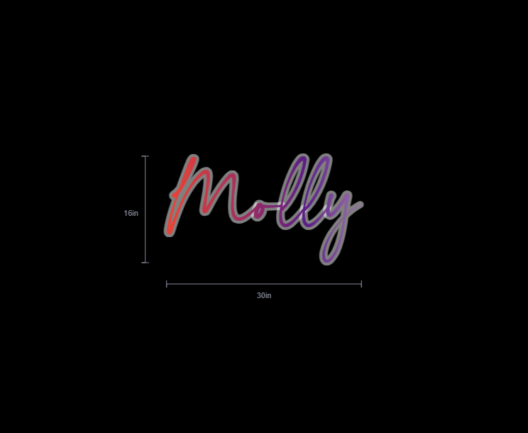 Custom Neon Sign For Erin