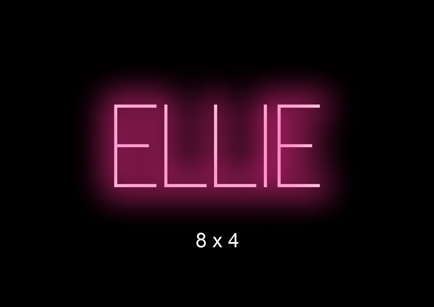 Custom Neon sign for Emily