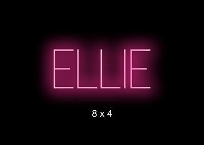 Custom Neon sign for Emily
