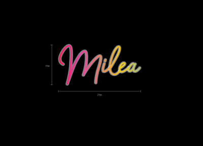 Custom Neon Sign For Michelle Frazier