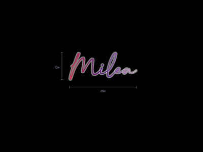 Custom Neon Sign For Michelle Frazier