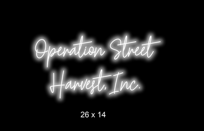 Custom Neon sign for corvette