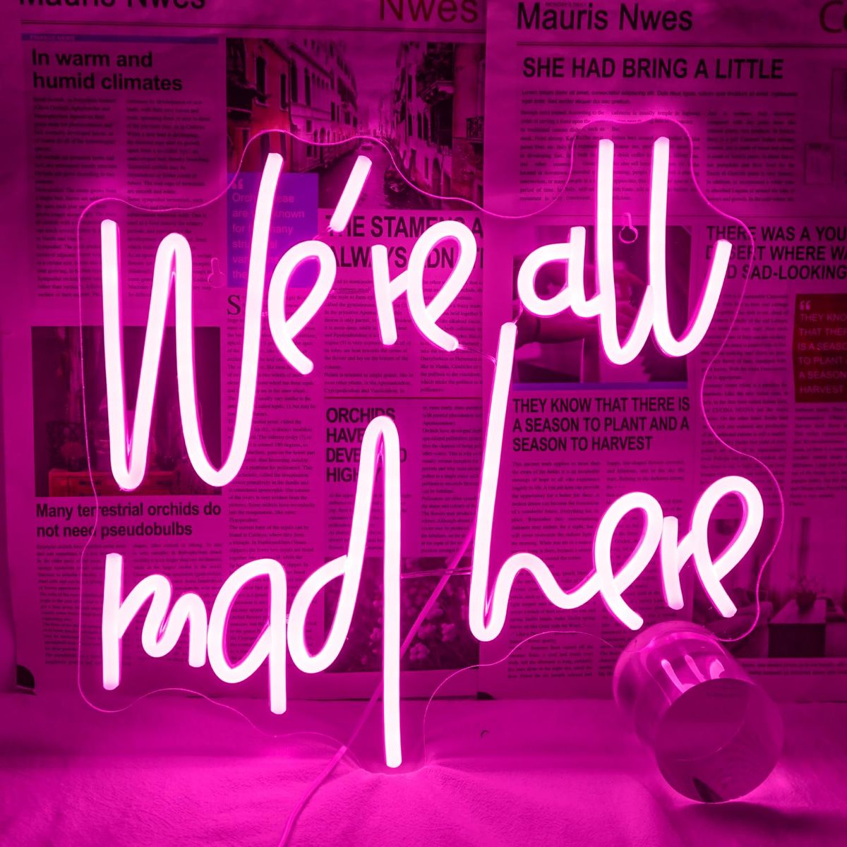 We’re All Mad Here LED neon sign glowing in bright colors on a wall at a party by Neon.Outshine 