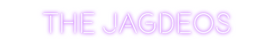 Custom Neon: The Jagdeos