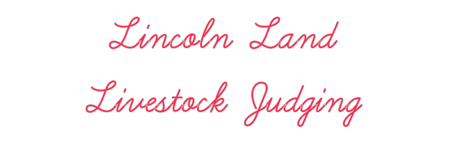 Custom Neon: Lincoln Land ...