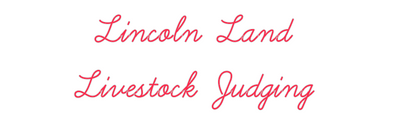 Custom Neon: Lincoln Land ...