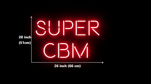 Custom Neon for Sylvie Miron
